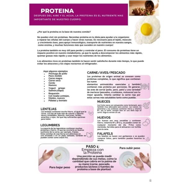 Guía Nutricional Vida Sana en 21 días Cambio duradero2