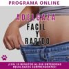 programa adelgaza facil y rapido
