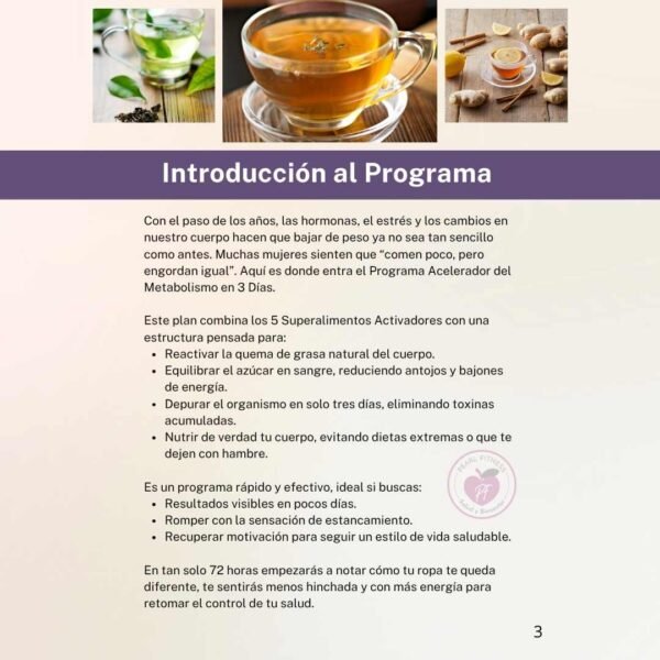 Programa Acelerador del Metabolismo (3 Días)