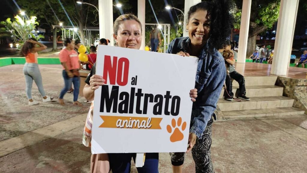 voluntariado pro Animalitos