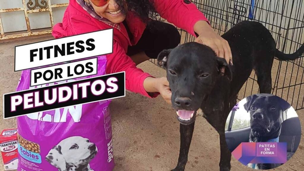 Servicios 7 servicio de patitas en forma by pearl fitness panama