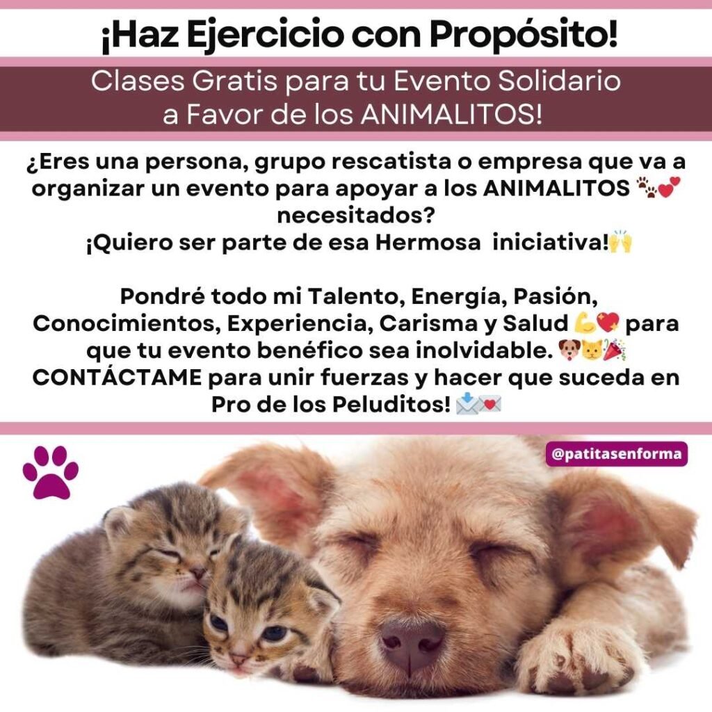 Patitas en forma 2 fitness con causa animal panama (1)