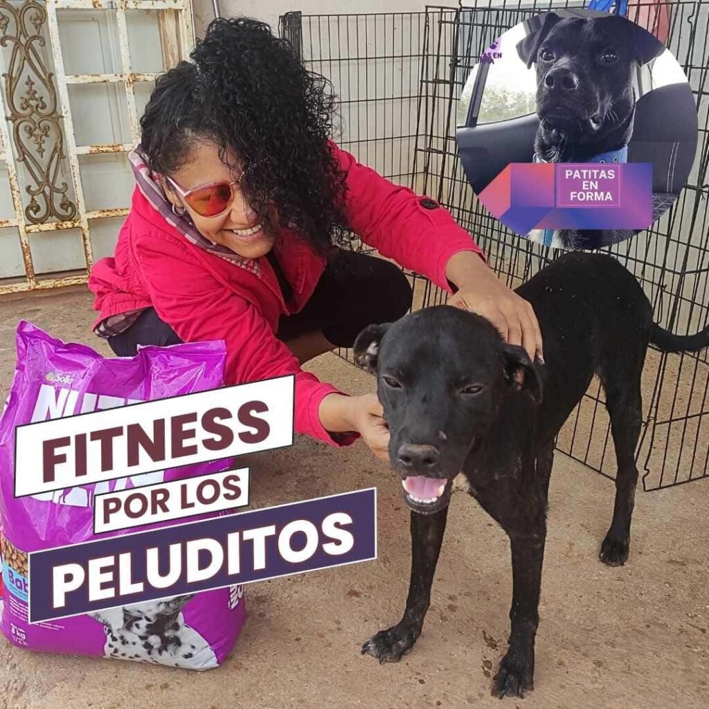 home 9 rutinas gratis en eventos pro animal patitas en forma